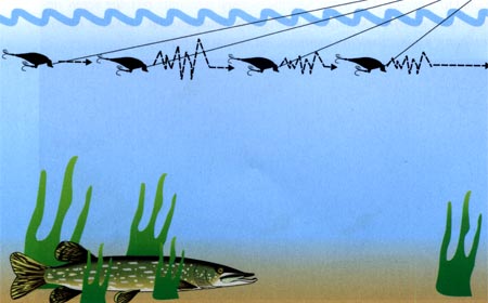 rapala x-rap Shad Shallow