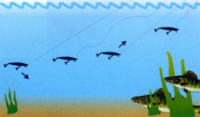 rapala x-rap