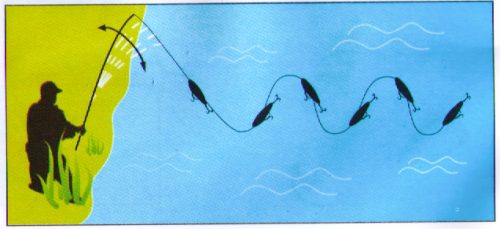 rapala twitchin rap