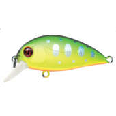 Pontoon21 Hypnose 38F MDR
