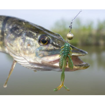 Crazy Fish Allure 1.6"