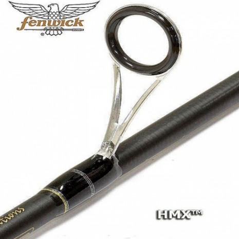 Spiningas Fenwick HMX Twicth