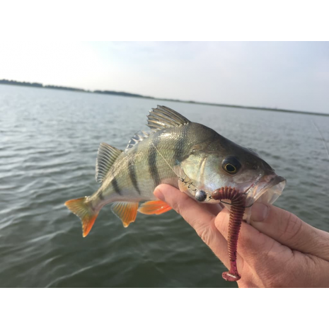 Guminukai Crazy Fish Vibro Worm 3″