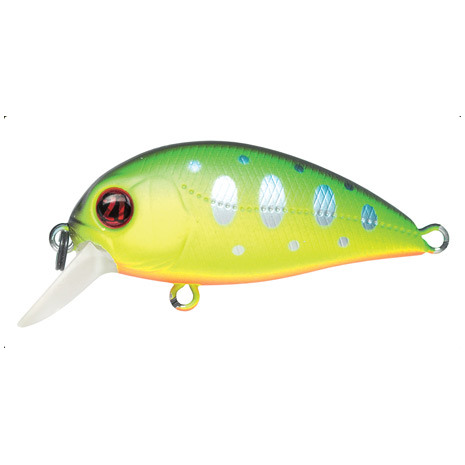 Pontoon21 Hypnose 38F MDR