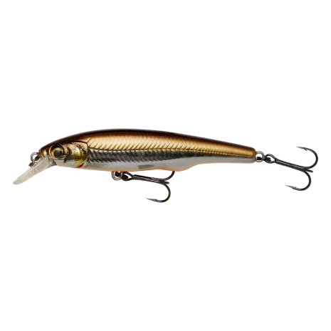 Minnow