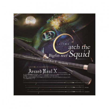 Spinning SLASH Arcard Real X 832M 2,51m 7-25g