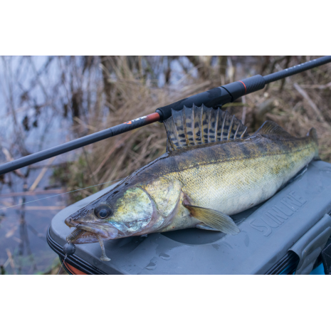 Favorite Totem Spinning Rod