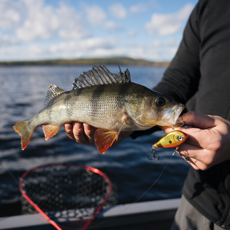 Rapala Snare Lure