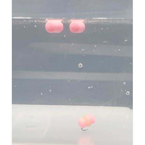 Wafters masalai HJG Drescher Dumbell Wafter 6x8 mm Pink Garlic 2.0 (Rožinis česnakas)