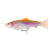 ALBINO TROUT