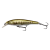 Brown Trout Smolt