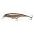 Minnow