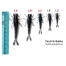 Guminukai Perch'ik Babka 1.5" 3.8cm 12vnt