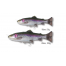 Savage Gear 4D Line Thru Pulsetail Trout