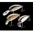 Pontoon21 Hypnose 38F MDR