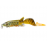 Savage Gear 3D Hybrid Pike 17cm 47g