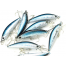 Vobleris Lucky Craft Humpback Minnow 50 SP