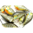 Vobleris Lucky Craft LC 1.5 DRS Squarebill Crankbaits