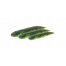 Guminukai Savage Gear Ned Dragon Tail Slug 8,8cm