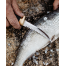Marttiini Fisherman's knife Condor