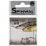116499 Segtukai Spinwal