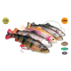 Savage Gear 4D Line Thru Pulsetail Trout