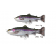 Savage Gear 4D Line Thru Pulsetail Trout