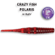 Crazy Fish Polaris 1.8"