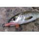 Crazy Fish Nano minnow 1.1"