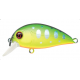 Pontoon21 Hypnose 38F MDR