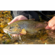 Savage Gear 3D Sticklebait Twitch 6.5cm 9.4g Sinking