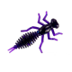 Perch'ik Beetle 2"