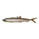 SMELT