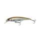 Roach