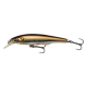 Minnow