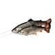 Guminukas Savage Gear 4D Linethru Pulstail Trout 16cm 51g
