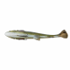 Guminukas Savage Gear 4D Linethru Pulstail Trout 16cm 51g