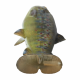 Guminukas Savage Gear 4D Linethru Pulstail Trout 16cm 51g