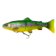 Guminukai Savage Gear4D Line Thru Trout 25cm