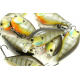 Vobleris Lucky Craft LC 1.5 DRS Squarebill Crankbaits