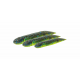 Savage Gear Ned Dragon Tail Slug 10cm