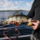 Rapala Snare Lure